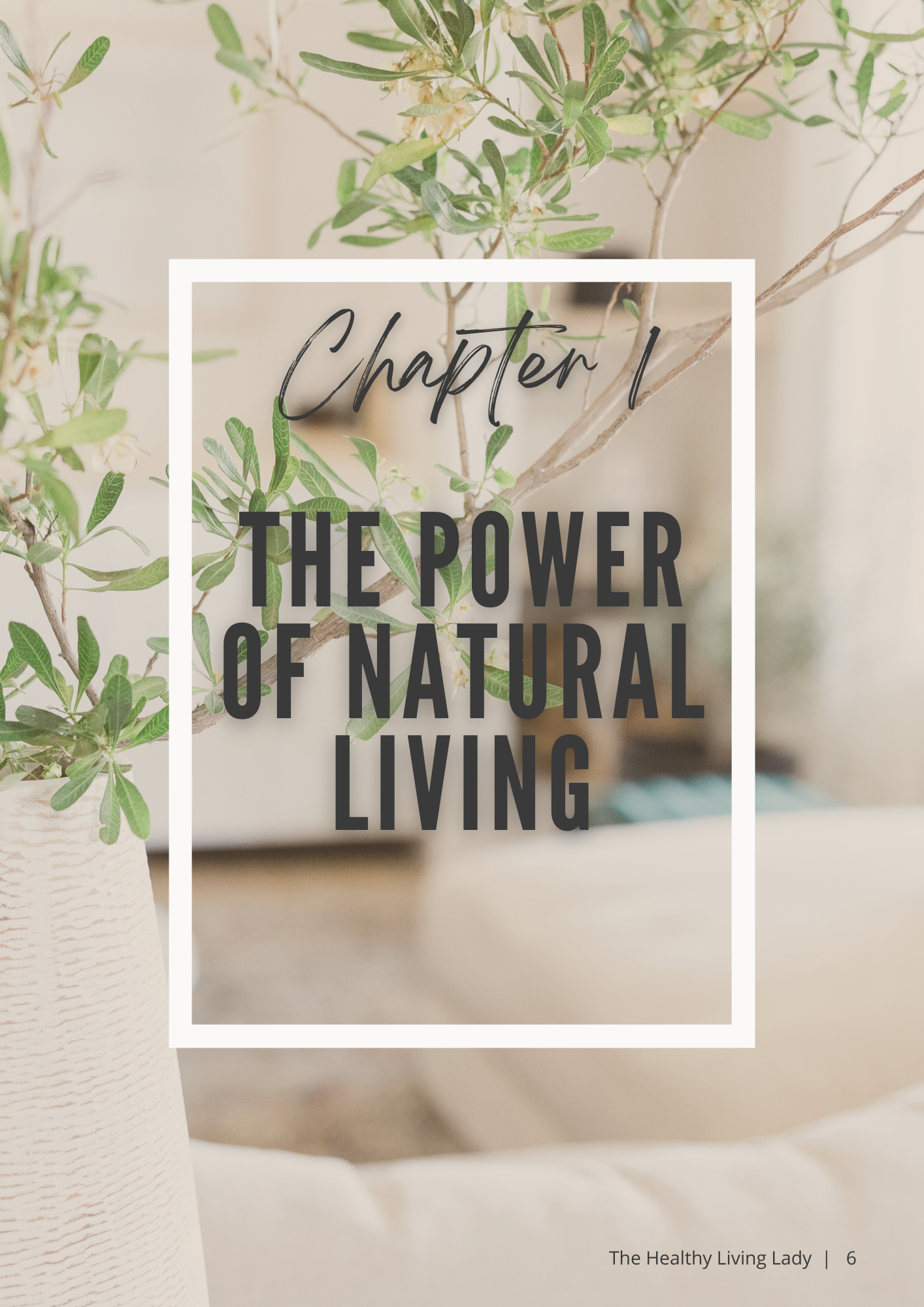 The Non-Toxic Home Starter Kit